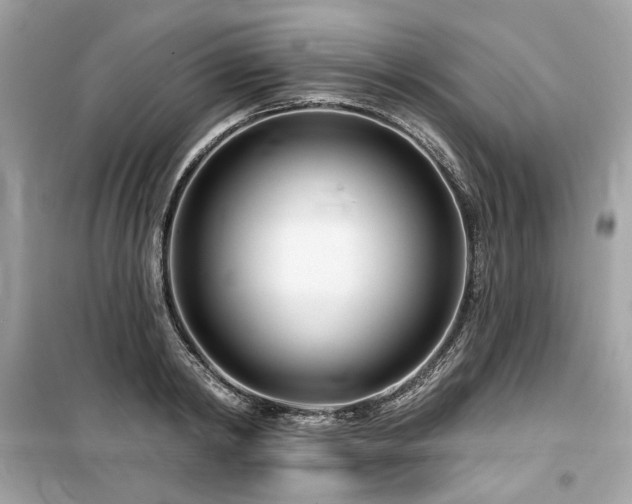 X0000099580798200805161234
