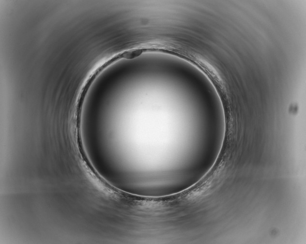 X0000099580800200805161234