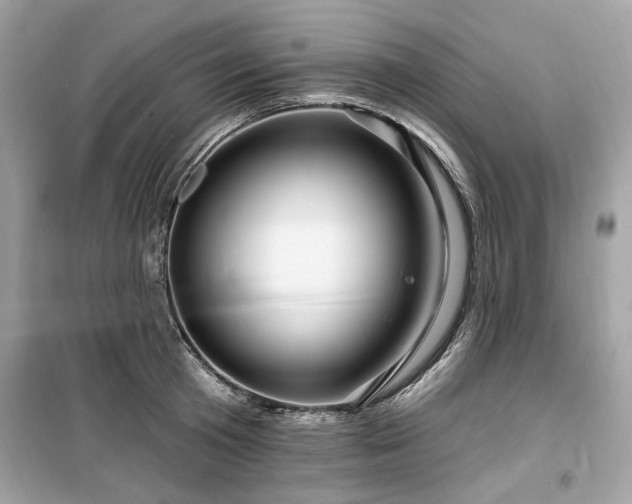 X0000099580801200805161234