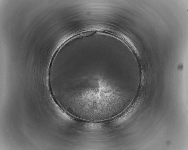 X0000099580802200805161234