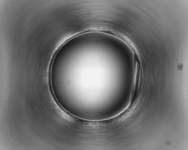 X0000099580803200805161234
