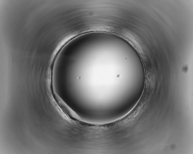 X0000099580804200805161234