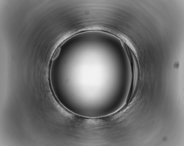 X0000099580805200805161234