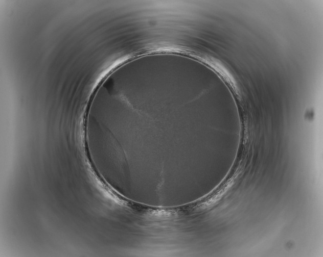 X0000099580806200805161234