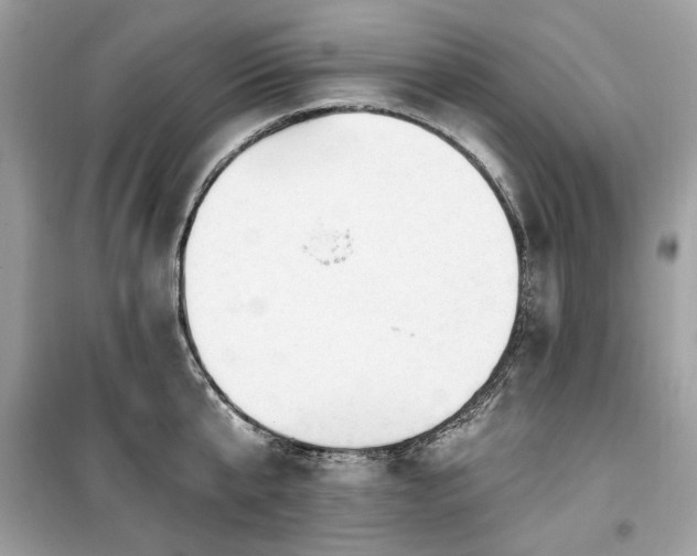 X0000099580807200805161234