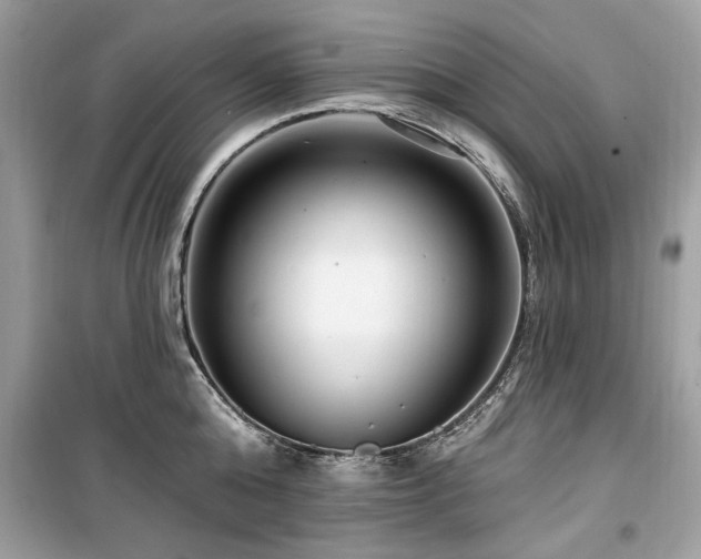 X0000099580808200805161234