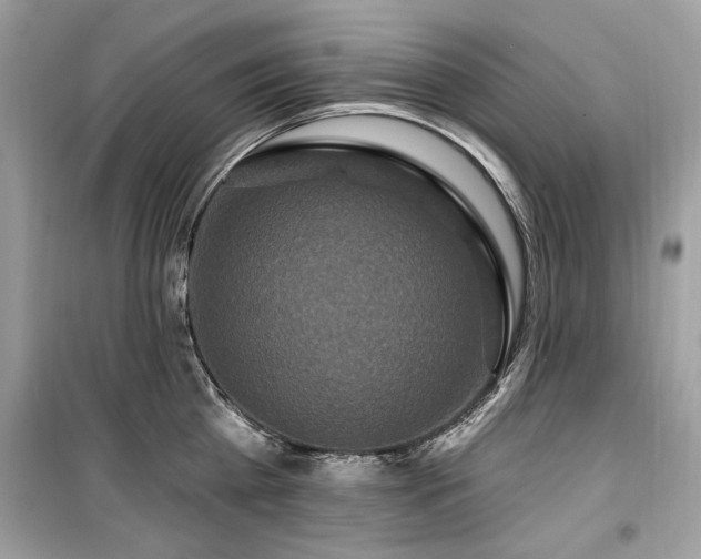 X0000099580809200805161234
