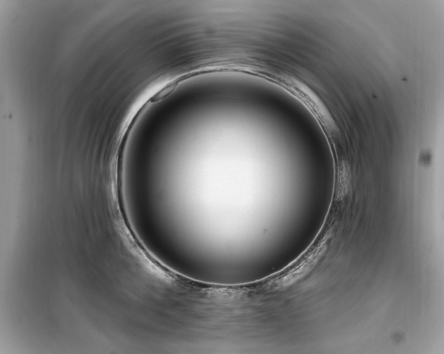 X0000099580812200805161234