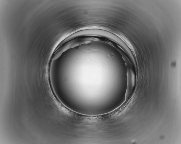 X0000099580813200805161234