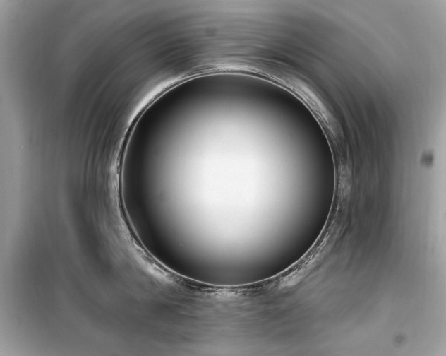 X0000099580814200805161234