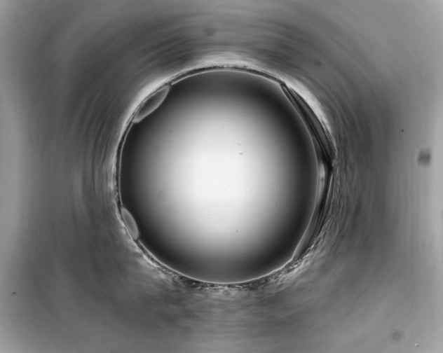 X0000099580815200805161234