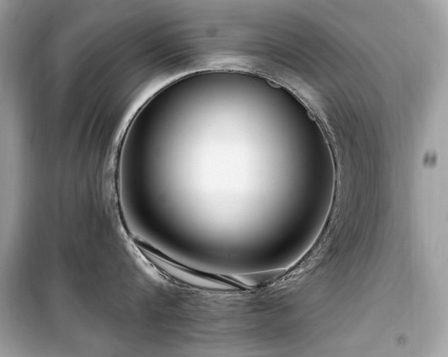 X0000099580816200805161234