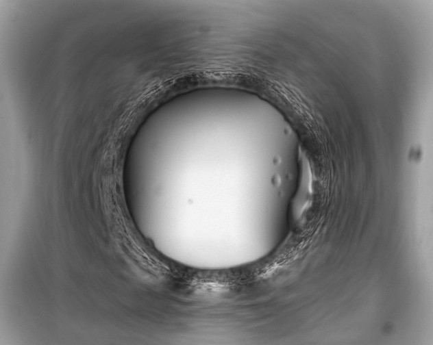 X0000099580817200805161233