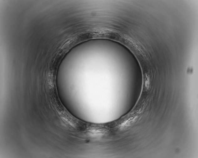 X0000099580819200805161233