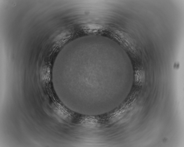 X0000099580820200805161233