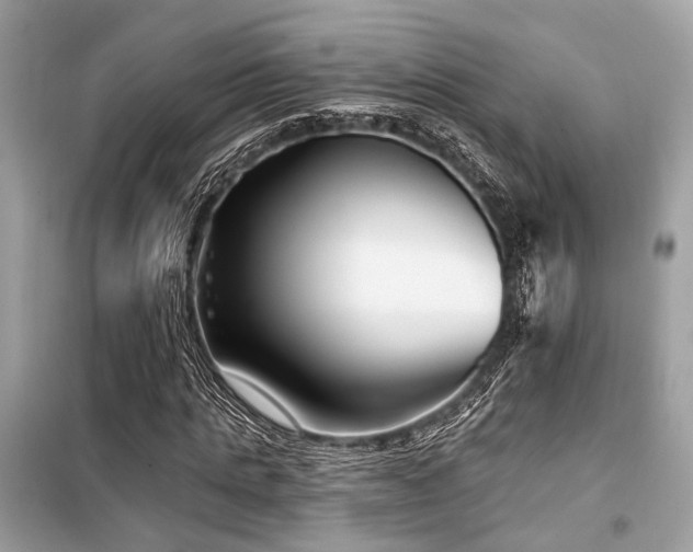 X0000099580821200805161233