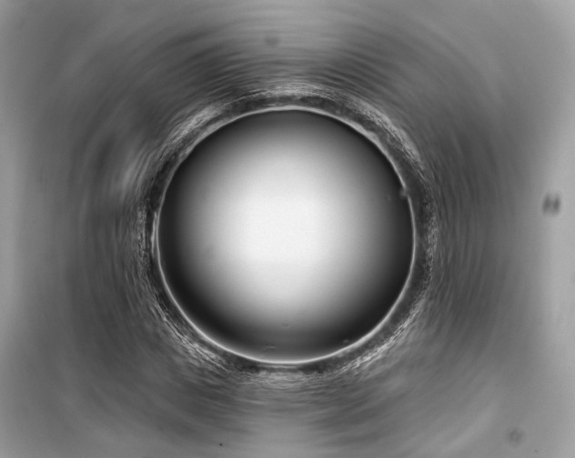 X0000099580825200805161233