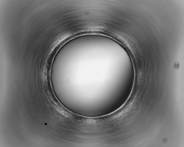 X0000099580827200805161233