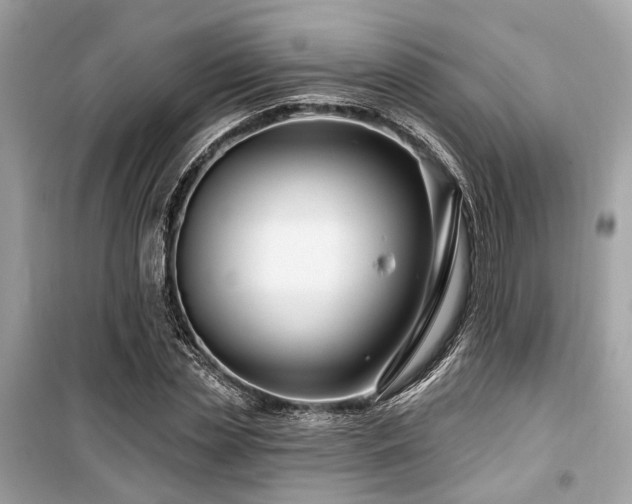 X0000099580829200805161233