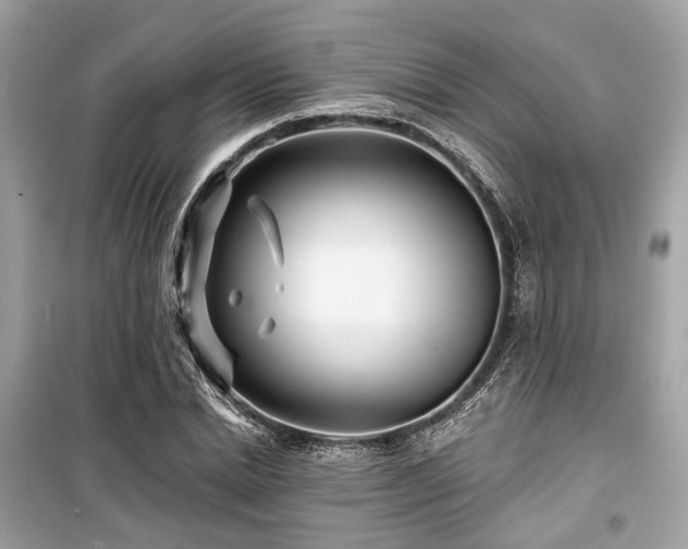 X0000099580830200805161233