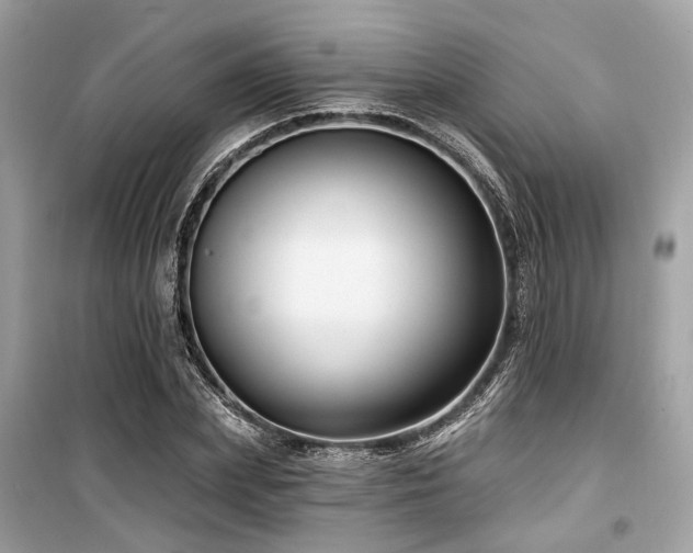 X0000099580831200805161233