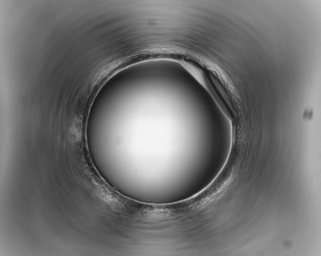 X0000099580833200805161233