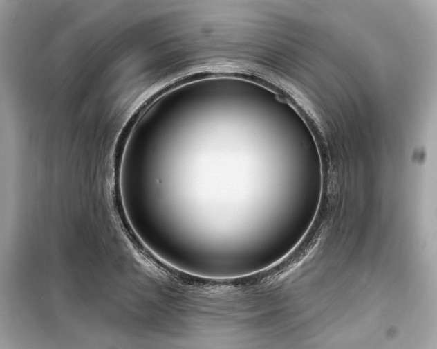X0000099580837200805161233