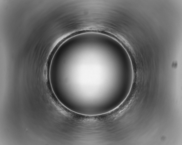 X0000099580838200805161233