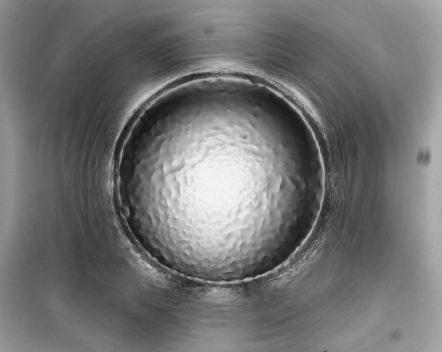 X0000099580839200805161233