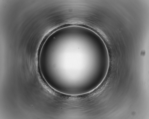X0000099580840200805161233