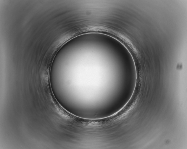 X0000099580841200805161233