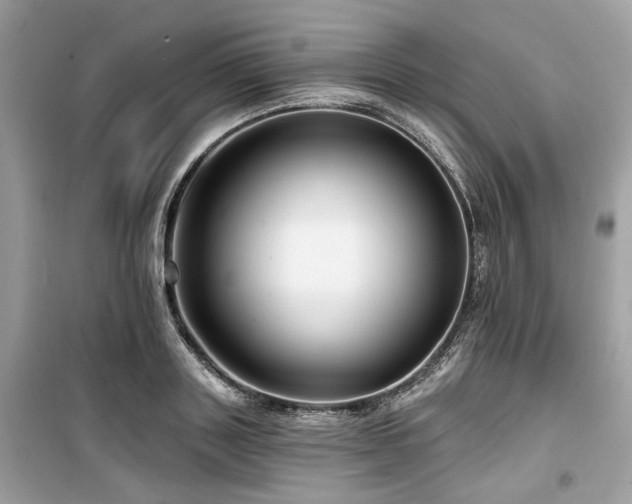 X0000099580843200805161233