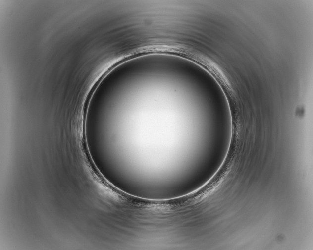 X0000099580844200805161233
