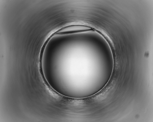 X0000099580845200805161233