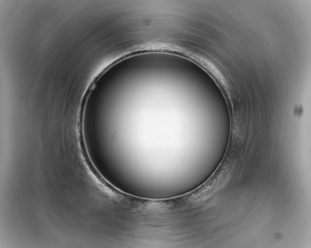 X0000099580847200805161233