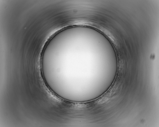 X0000099580848200805161233