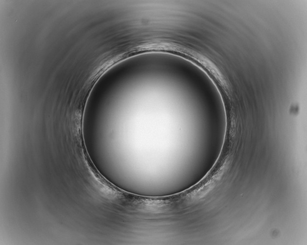 X0000099580849200805161233
