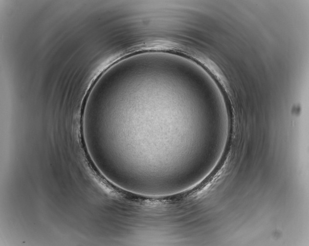X0000099580850200805161233