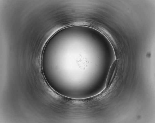 X0000099580852200805161233