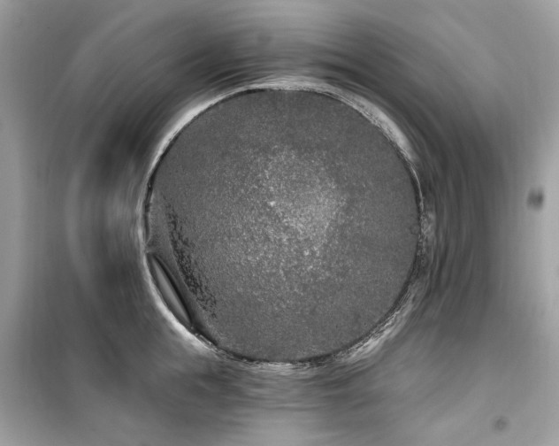 X0000099580855200805161233