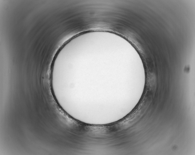 X0000099580856200805161233