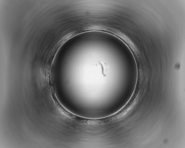 X0000099580857200805161233
