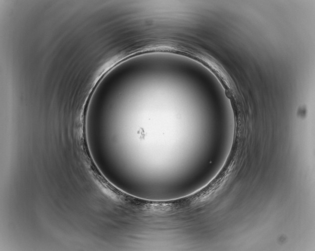 X0000099580858200805161233