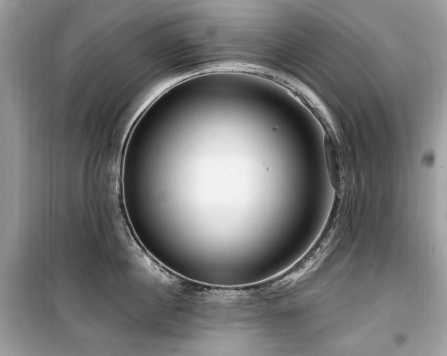 X0000099580860200805161234