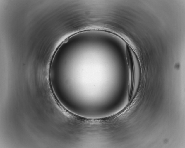 X0000099580862200805161234