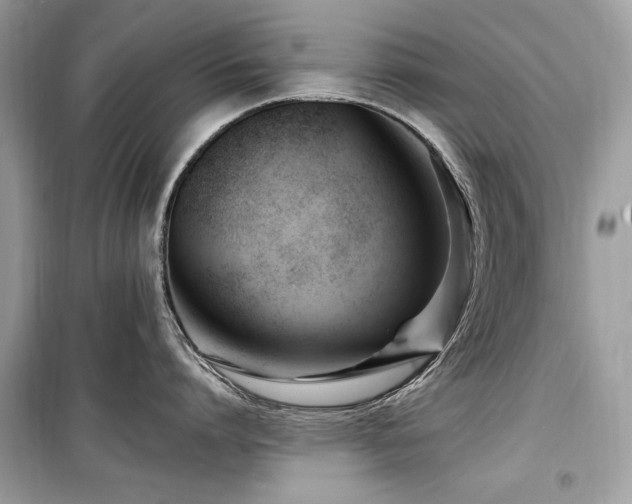 X0000099580864200805161234