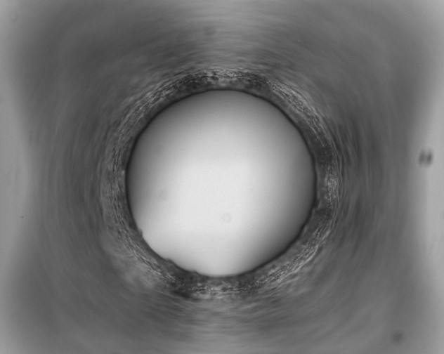 X0000099580865200805161233