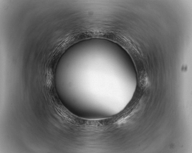 X0000099580866200805161233