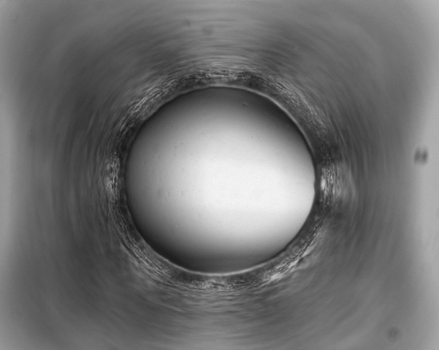 X0000099580867200805161233