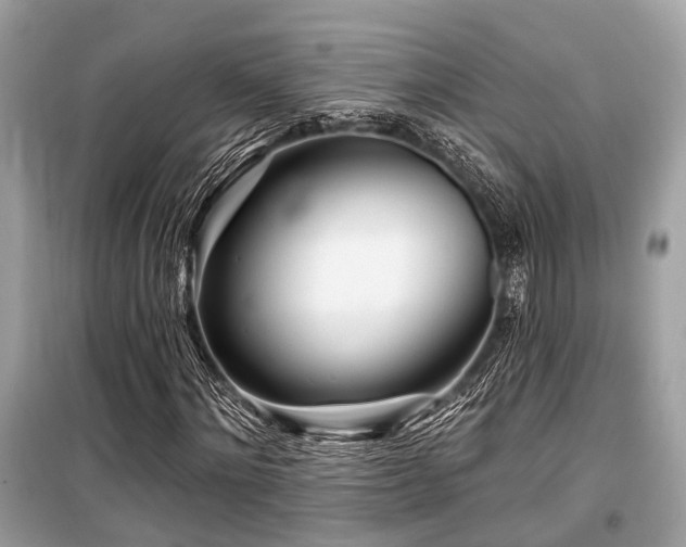 X0000099580868200805161233